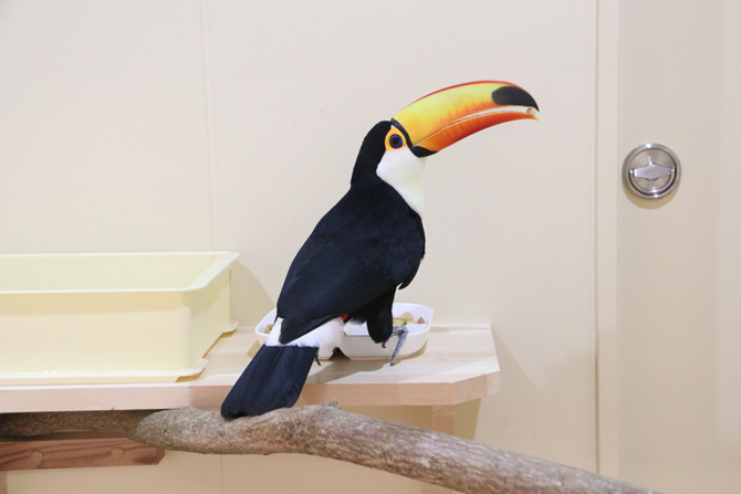 河北町児童動物園