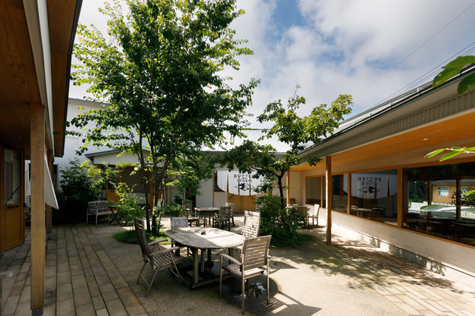 GOOD NEWS NEIGHBORS／DAIRY