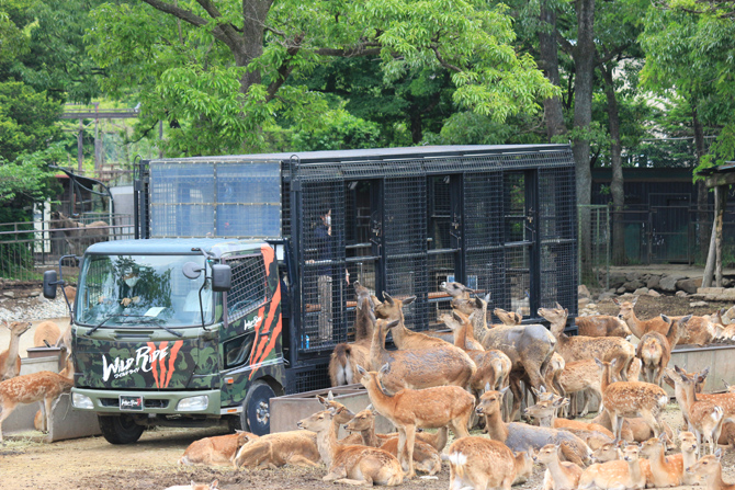那須サファリパーク