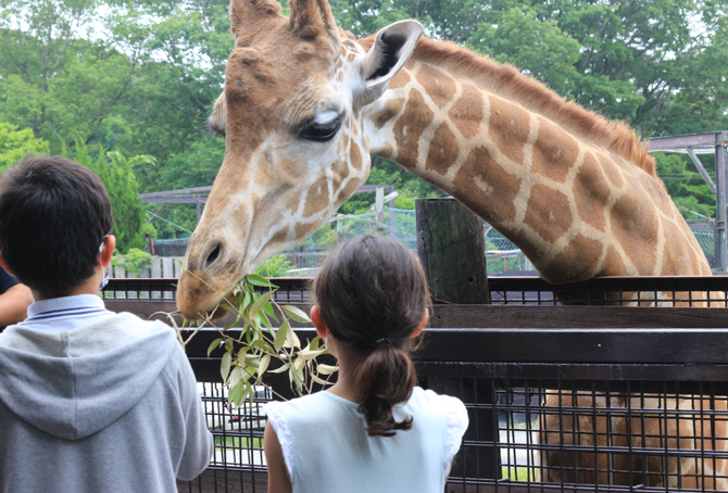 那須サファリパーク