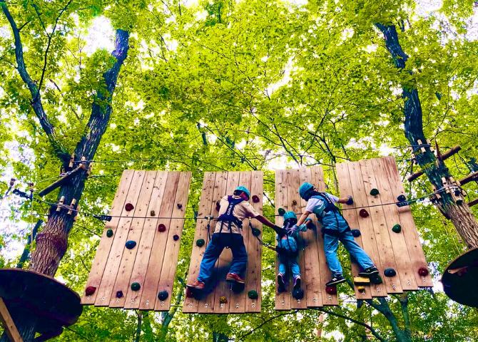 那須の森の空中アスレチック NOZARU