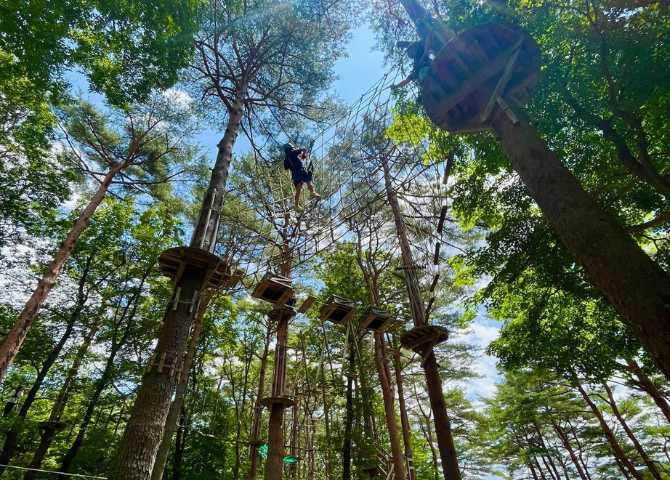 那須の森の空中アスレチック NOZARU