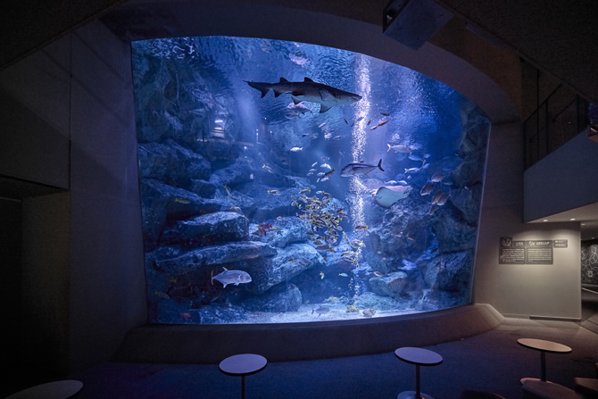 すみだ水族館