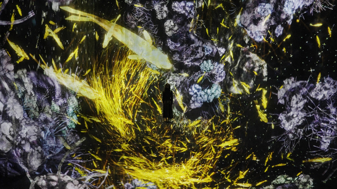 森ビル デジタルアート ミュージアム：エプソン チームラボボーダレス