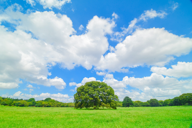 国営昭和記念公園