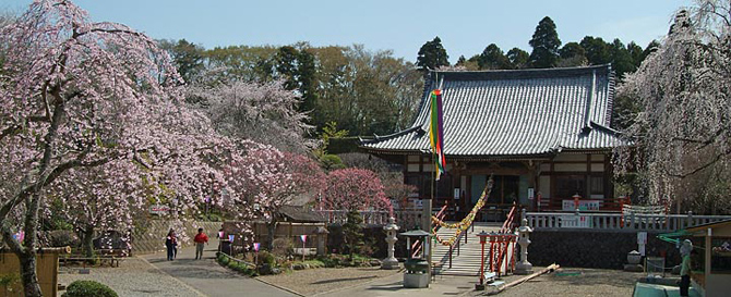 平山お願い薬師 東光院