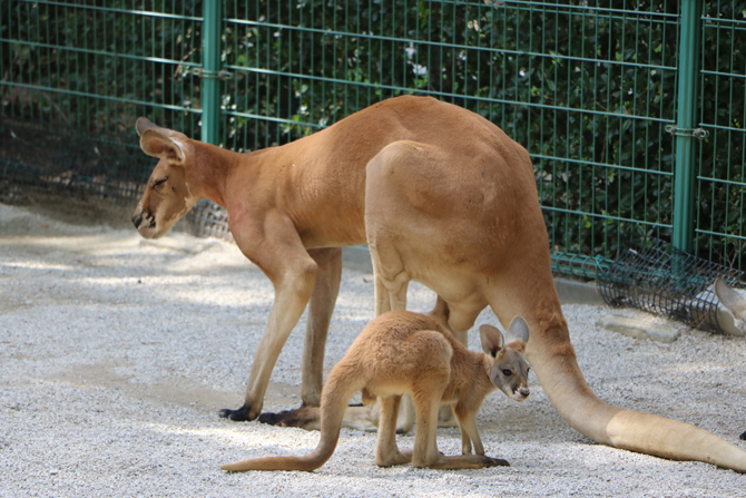 国営海の中道海浜公園