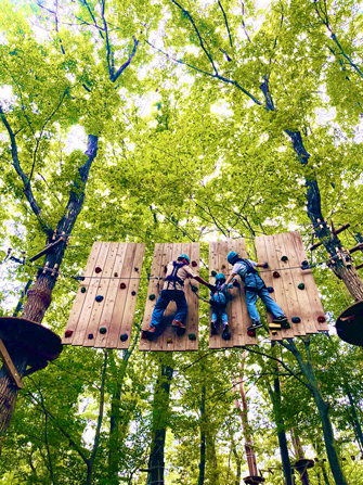 那須の森の空中アスレチックNOZARU