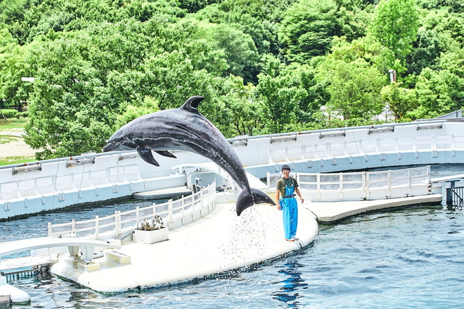 京都水族館