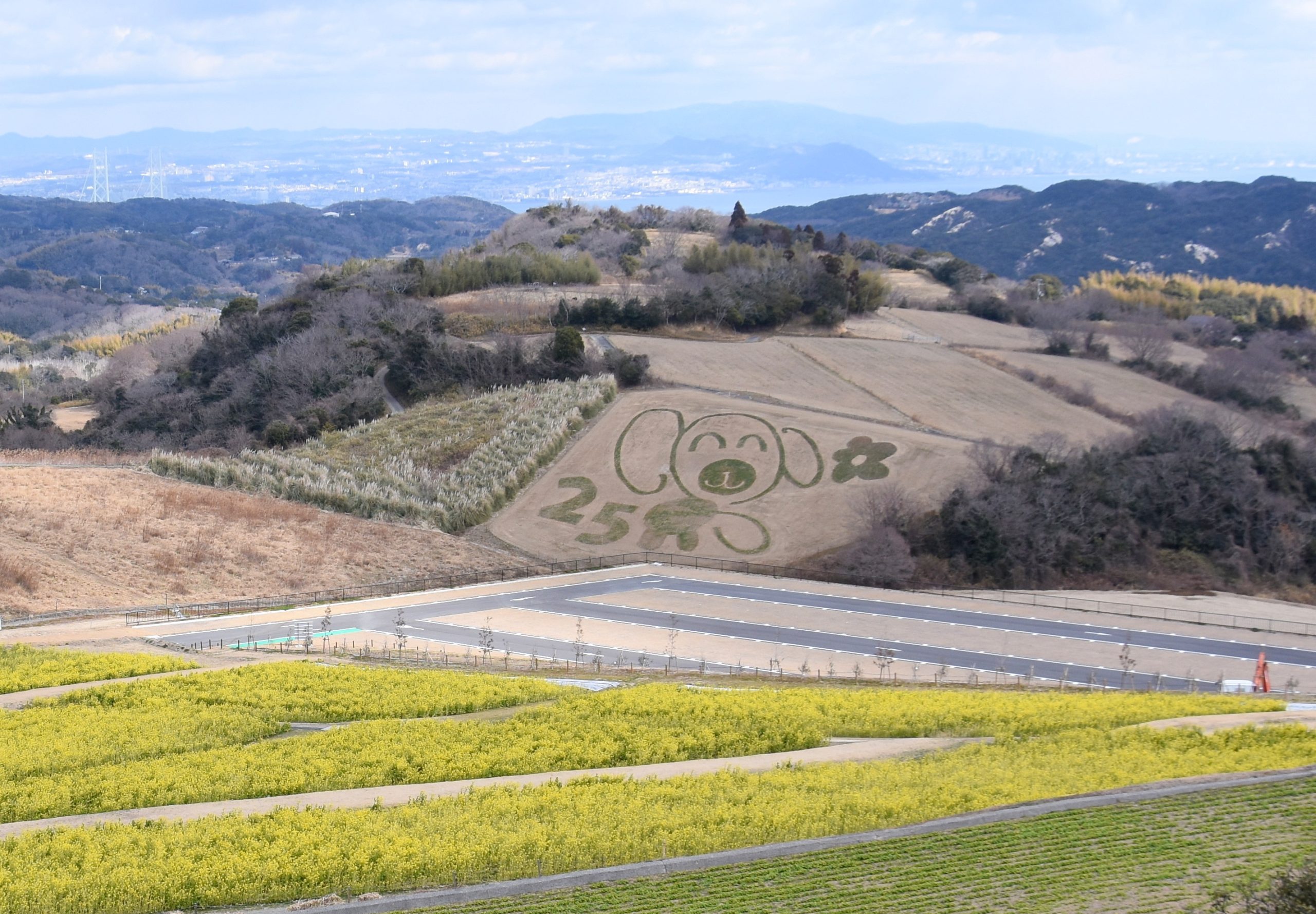 （画像提供：（C）あわじ花さじき）