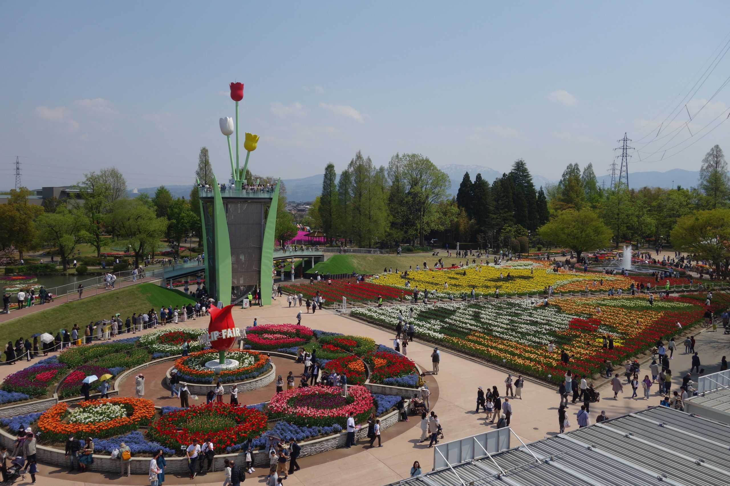 （画像提供：砺波チューリップ公園）