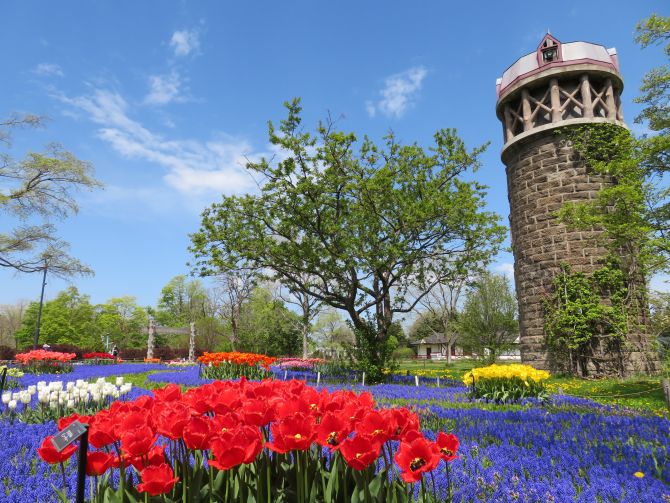 (画像提供:百合が原公園)