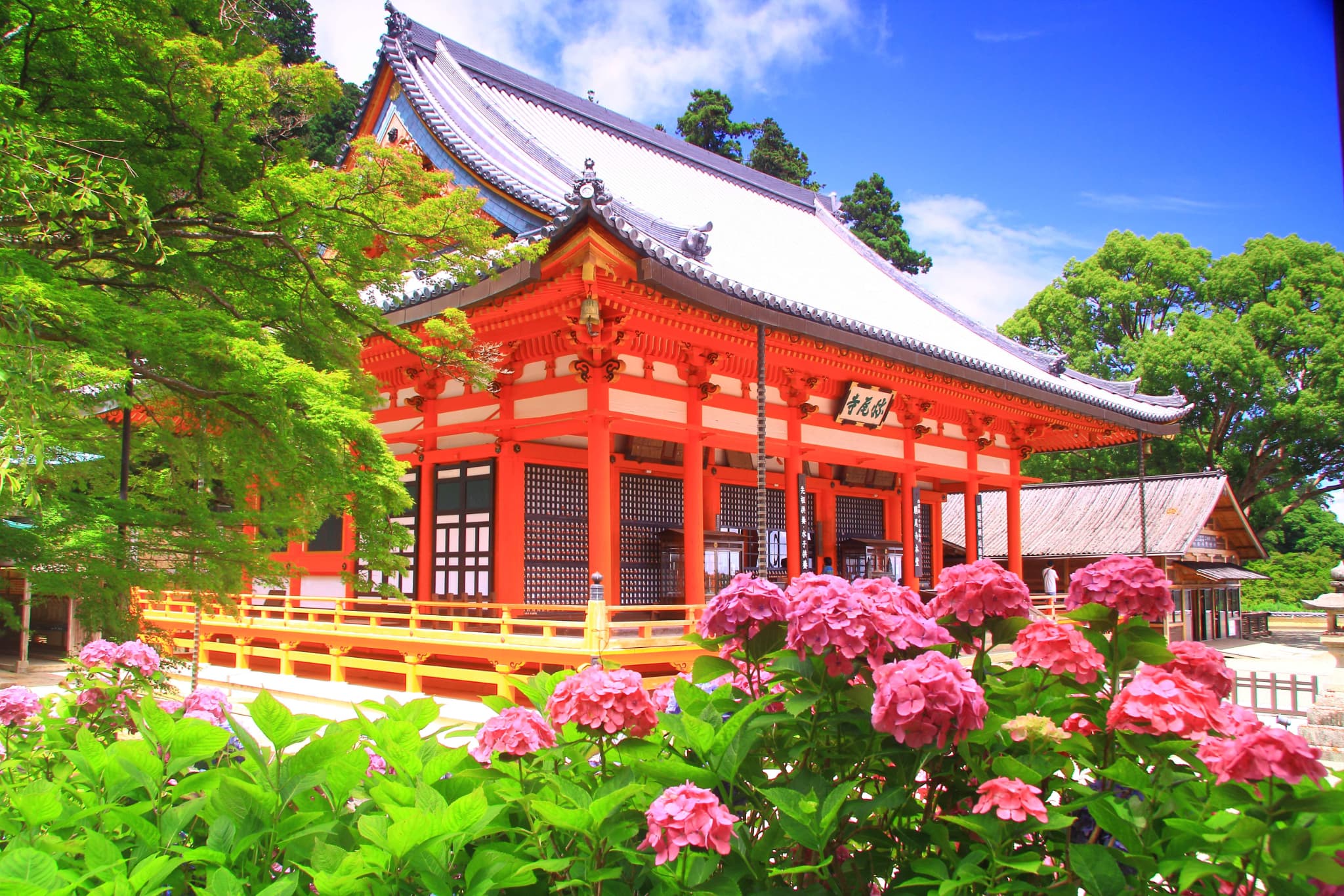 勝運の寺 勝尾寺