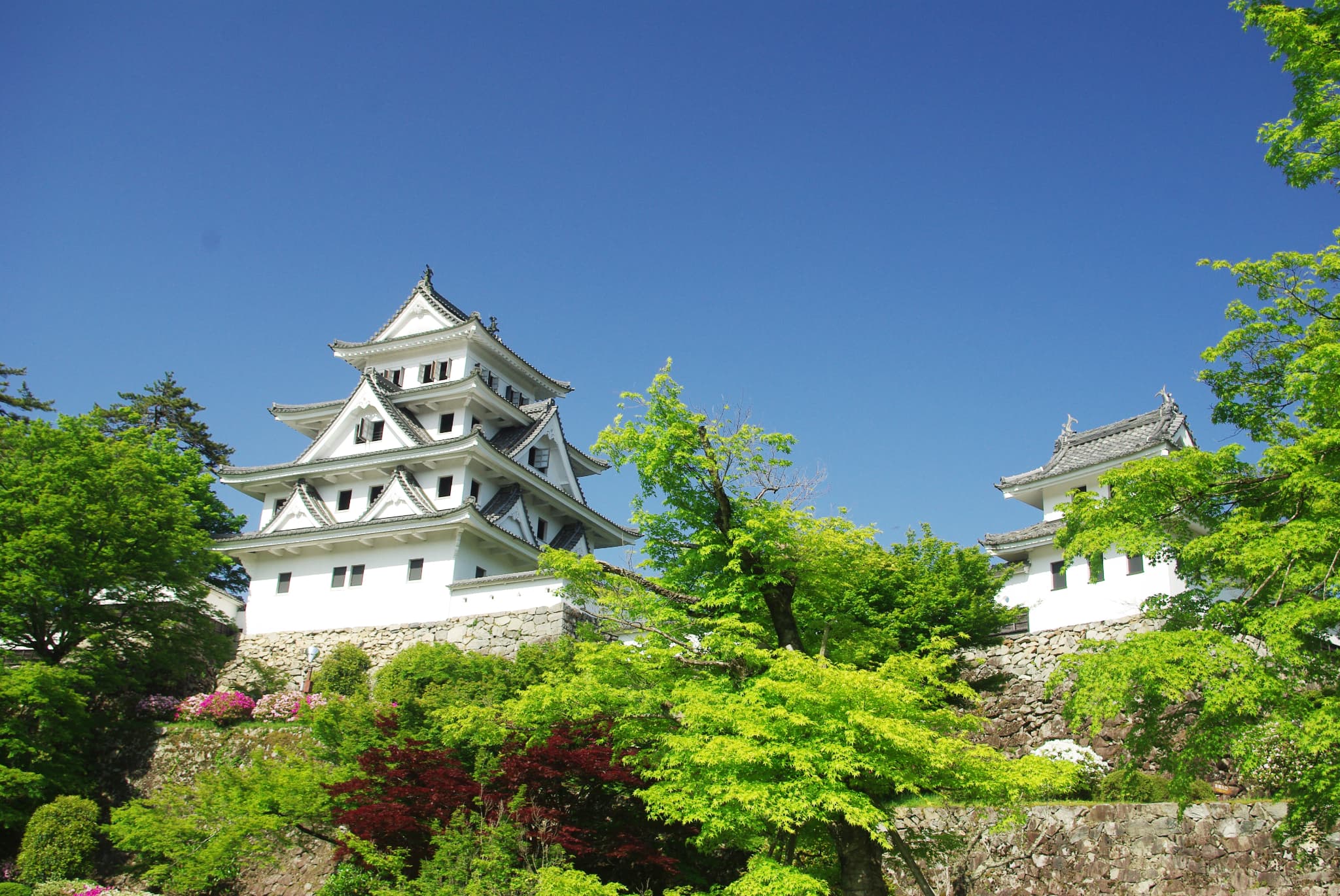 郡上八幡城