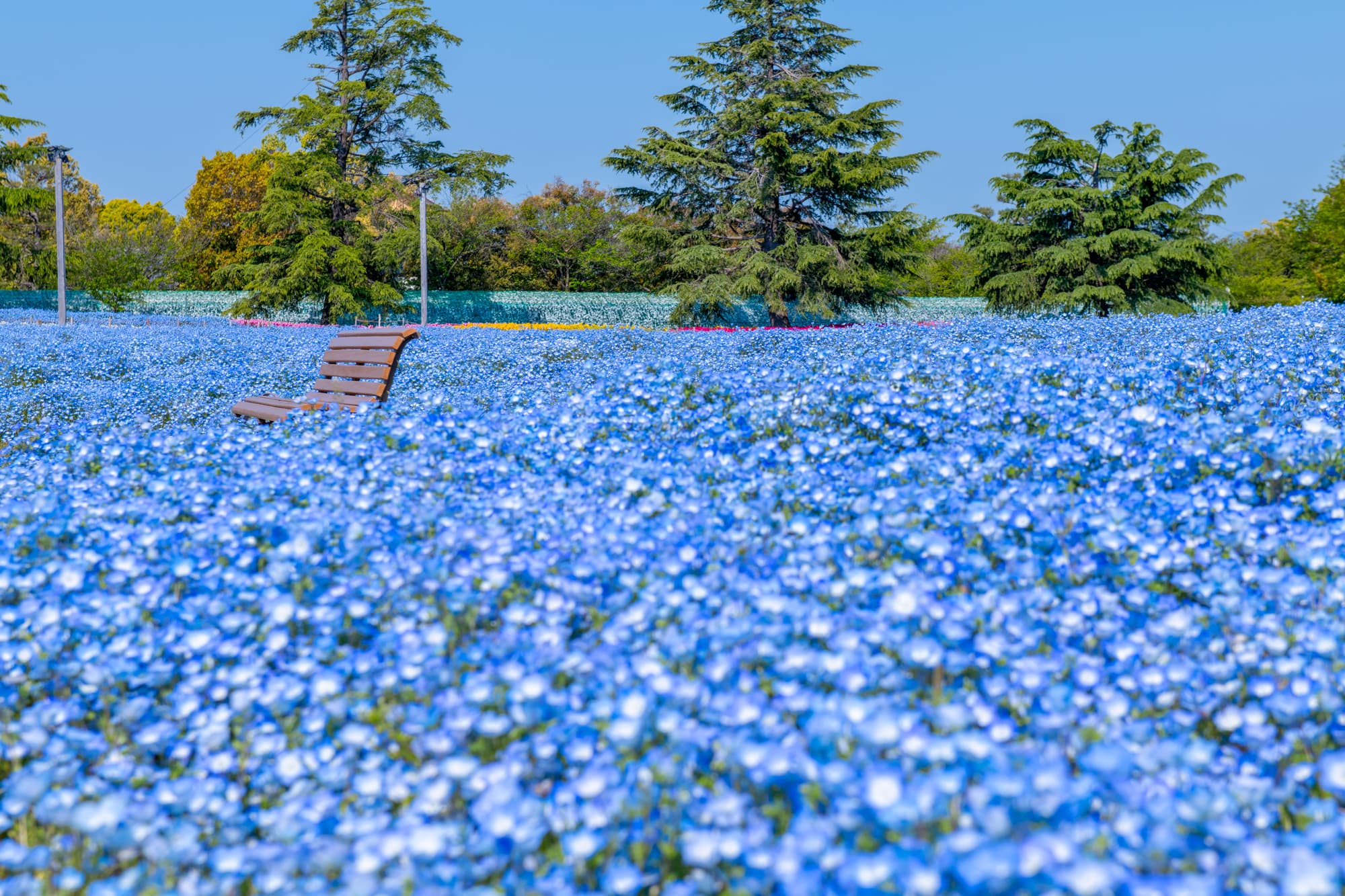 なばなの里