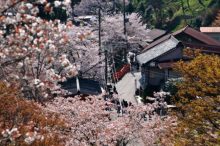 【関西×春旅】温泉やグルメ、絶景を満喫♪女子旅、卒業旅行、家族旅行におすすめの宿