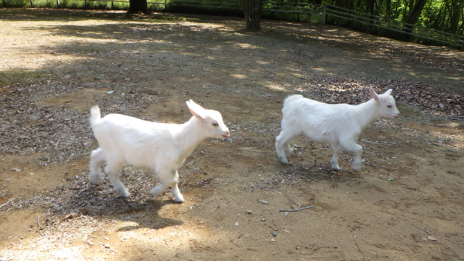 水戸市森林公園