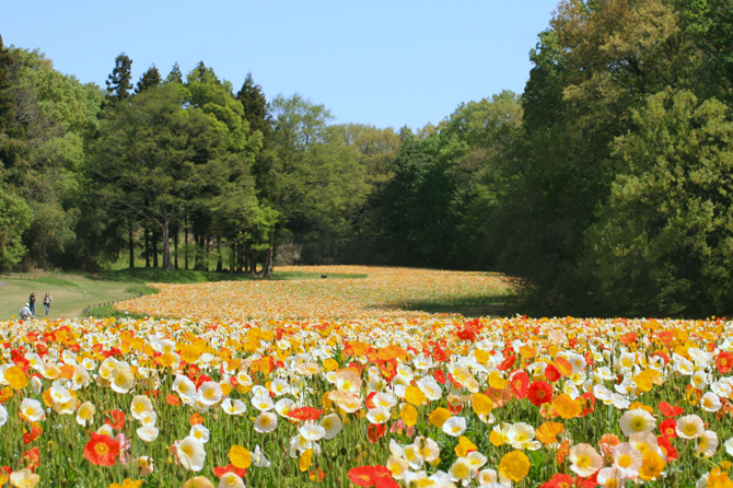 国営武蔵丘陵森林公園