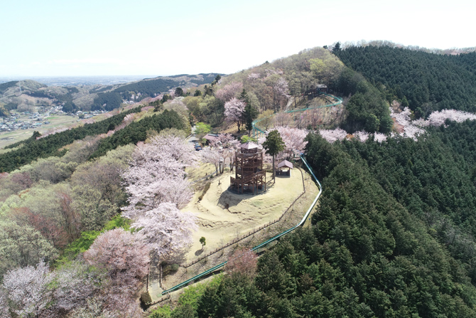 仙元山見晴らしの丘公園