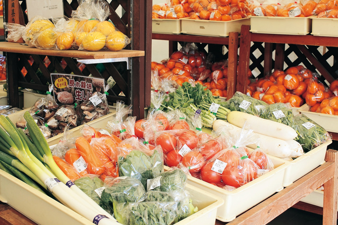 道の駅 富士川楽座