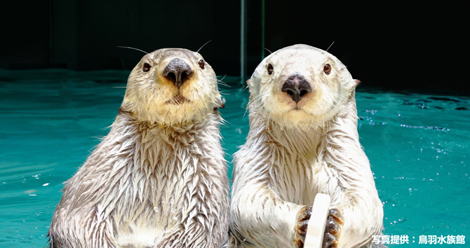鳥羽水族館