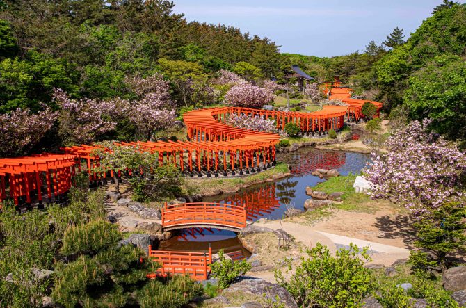 全国】日本の“美しすぎる神社”15選！絶景を楽しめる神社を紹介＜2026