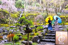 【静岡・神奈川】温泉や山海の幸を思いっきり楽しむならここ♪春に訪れたい厳選15宿