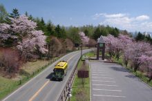 【群馬×春旅】この春に行きたい厳選宿12選★ハイクラス宿からコスパ◎宿まで満載！