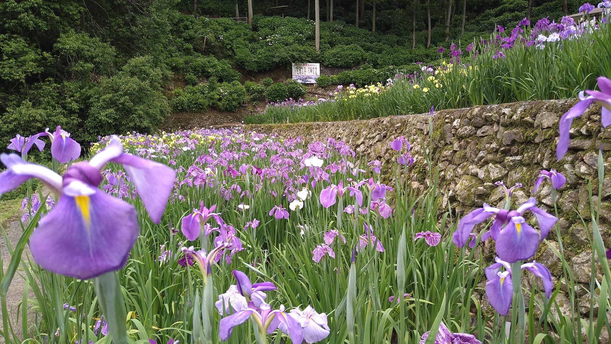 稲積癒しの里山