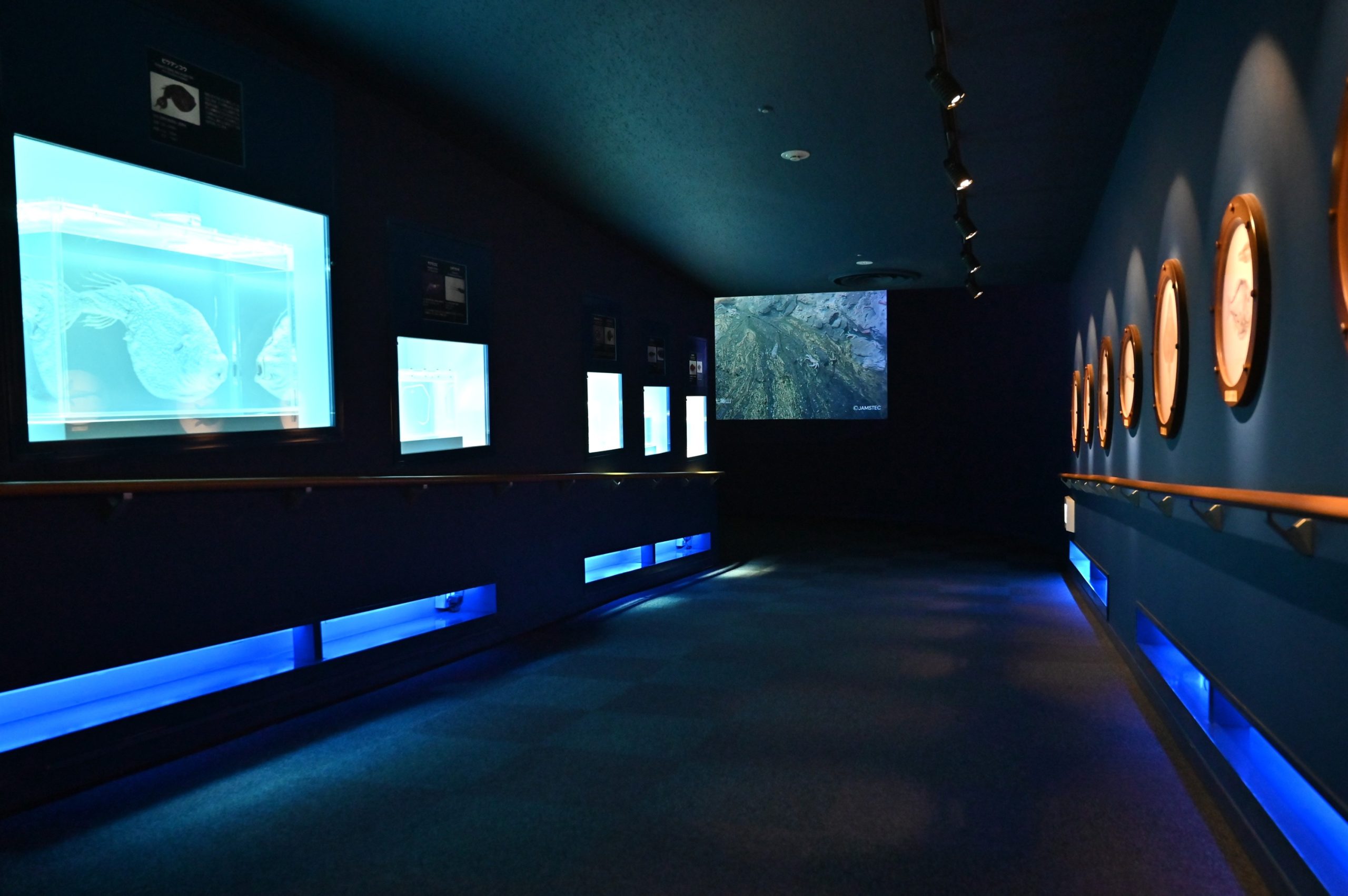 名古屋港水族館