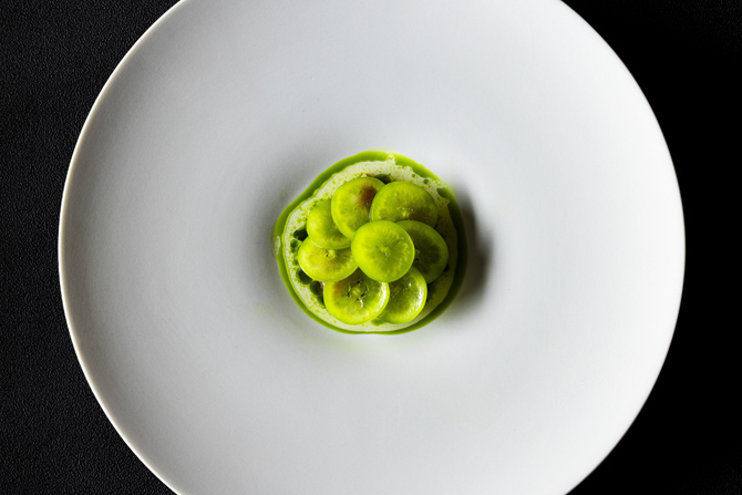 ブレストンコート　ユカワタン