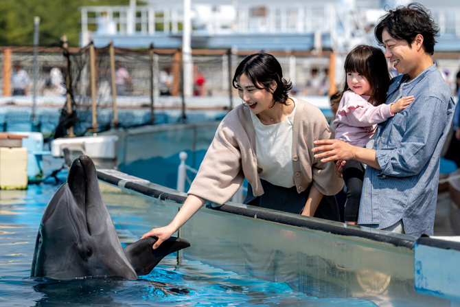 ホテル シーパラダイス イン