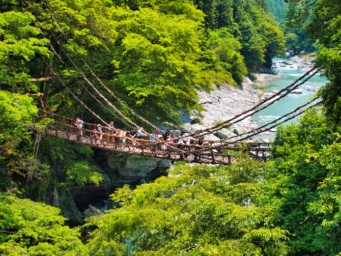 祖谷のかずら橋