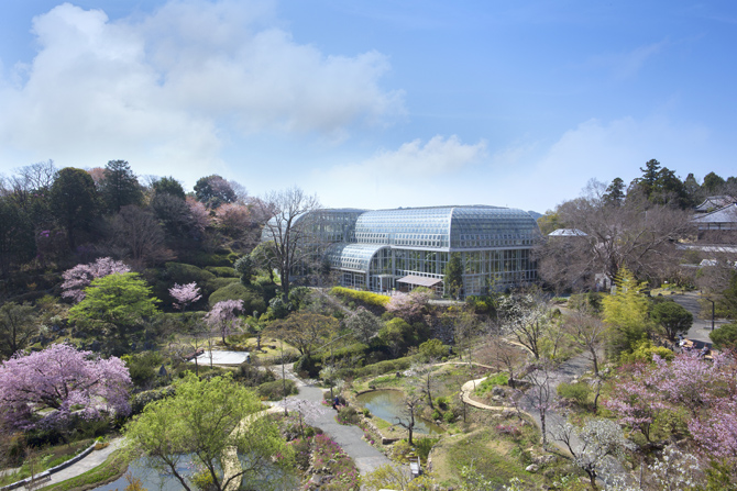 高知県立牧野植物園