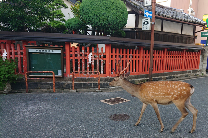 ならまち