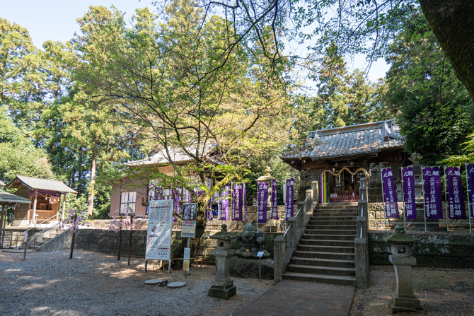 下野 星宮神社