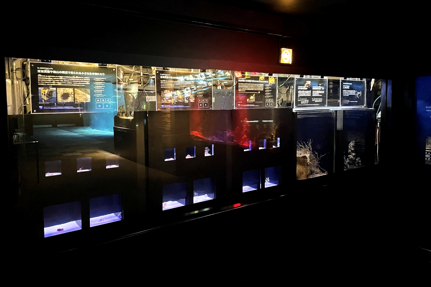 新江ノ島水族館_深海Ⅰリニューアル