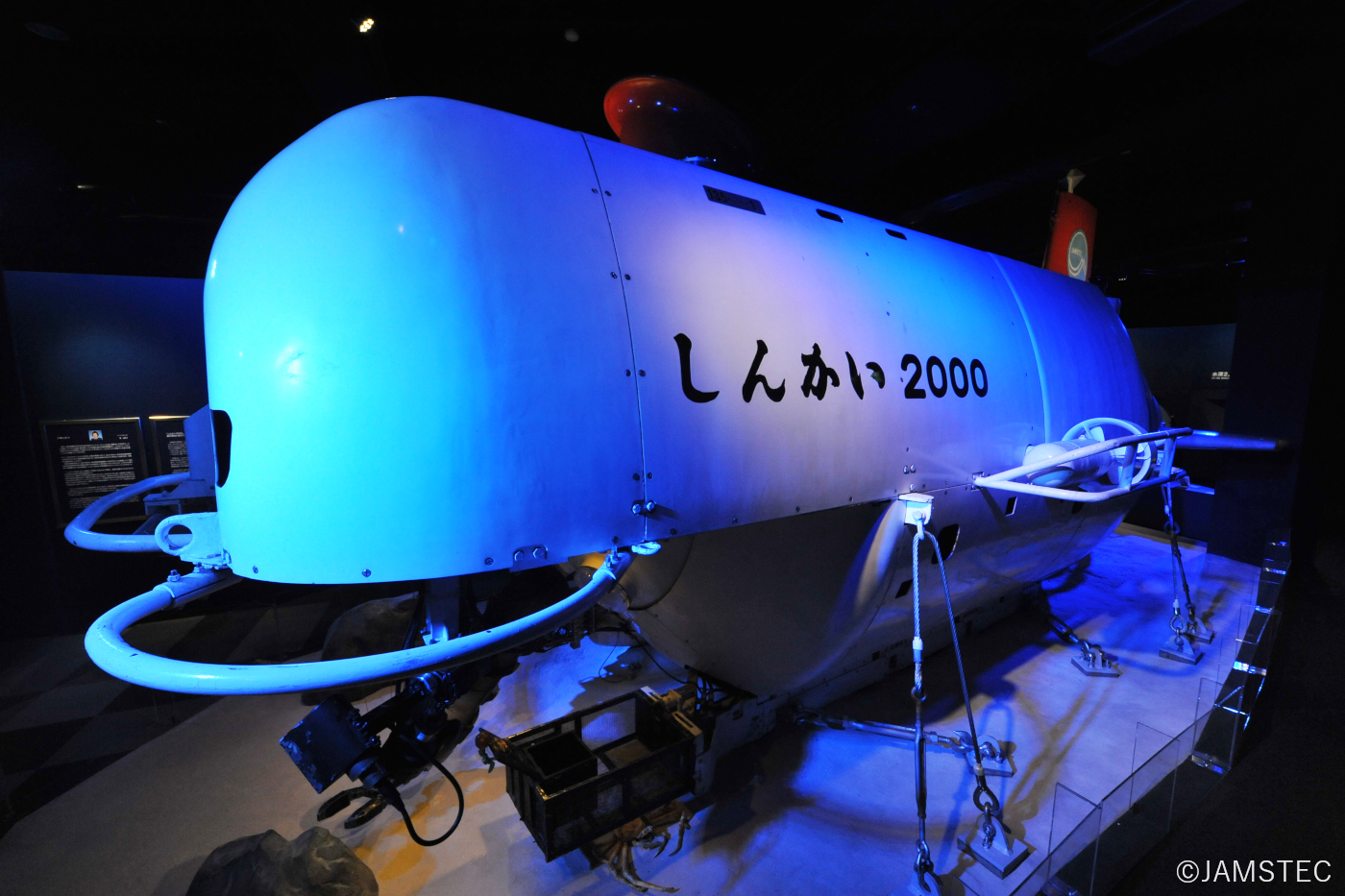 新江ノ島水族館_深海Ⅱ