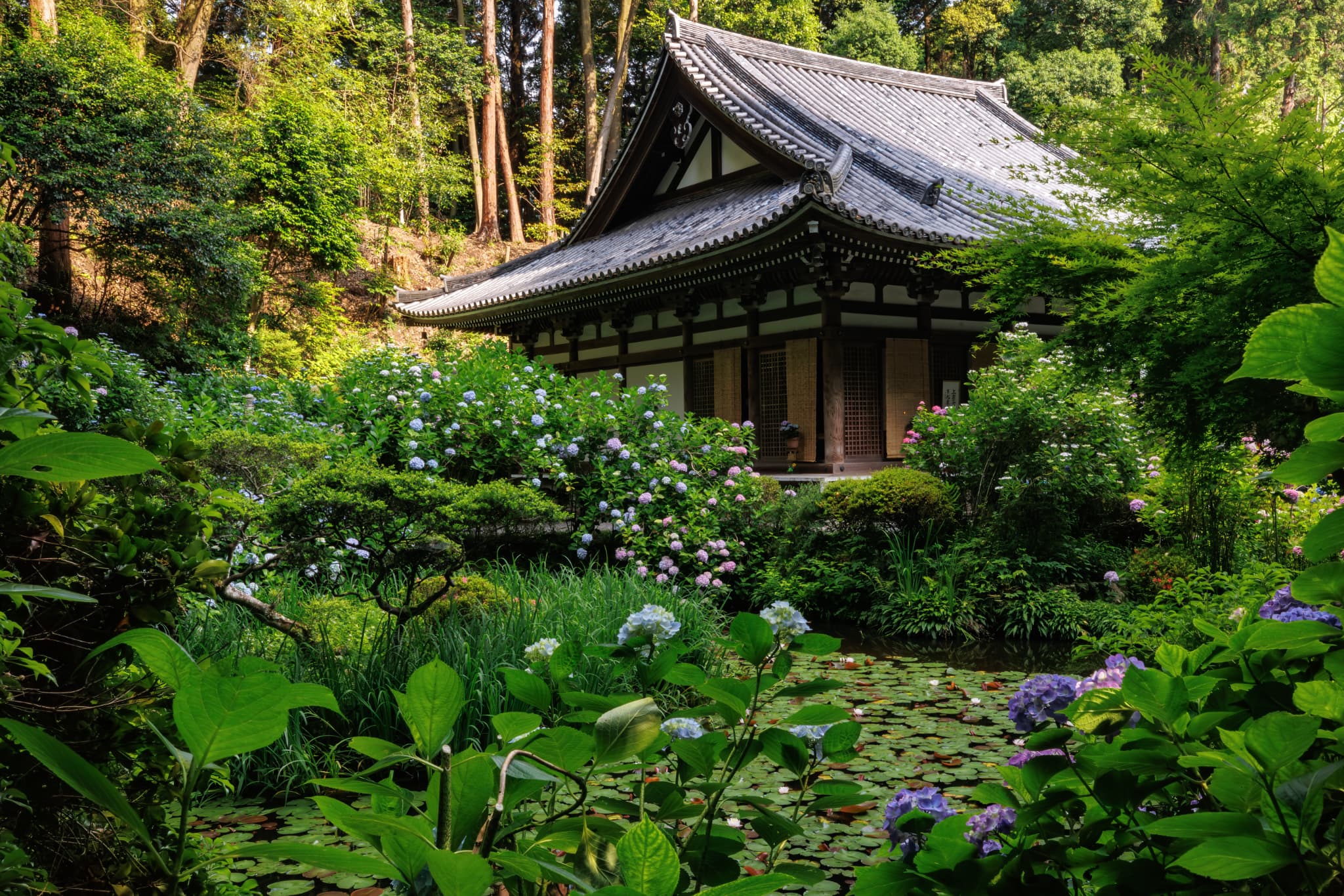 (画像提供:岩船寺)
