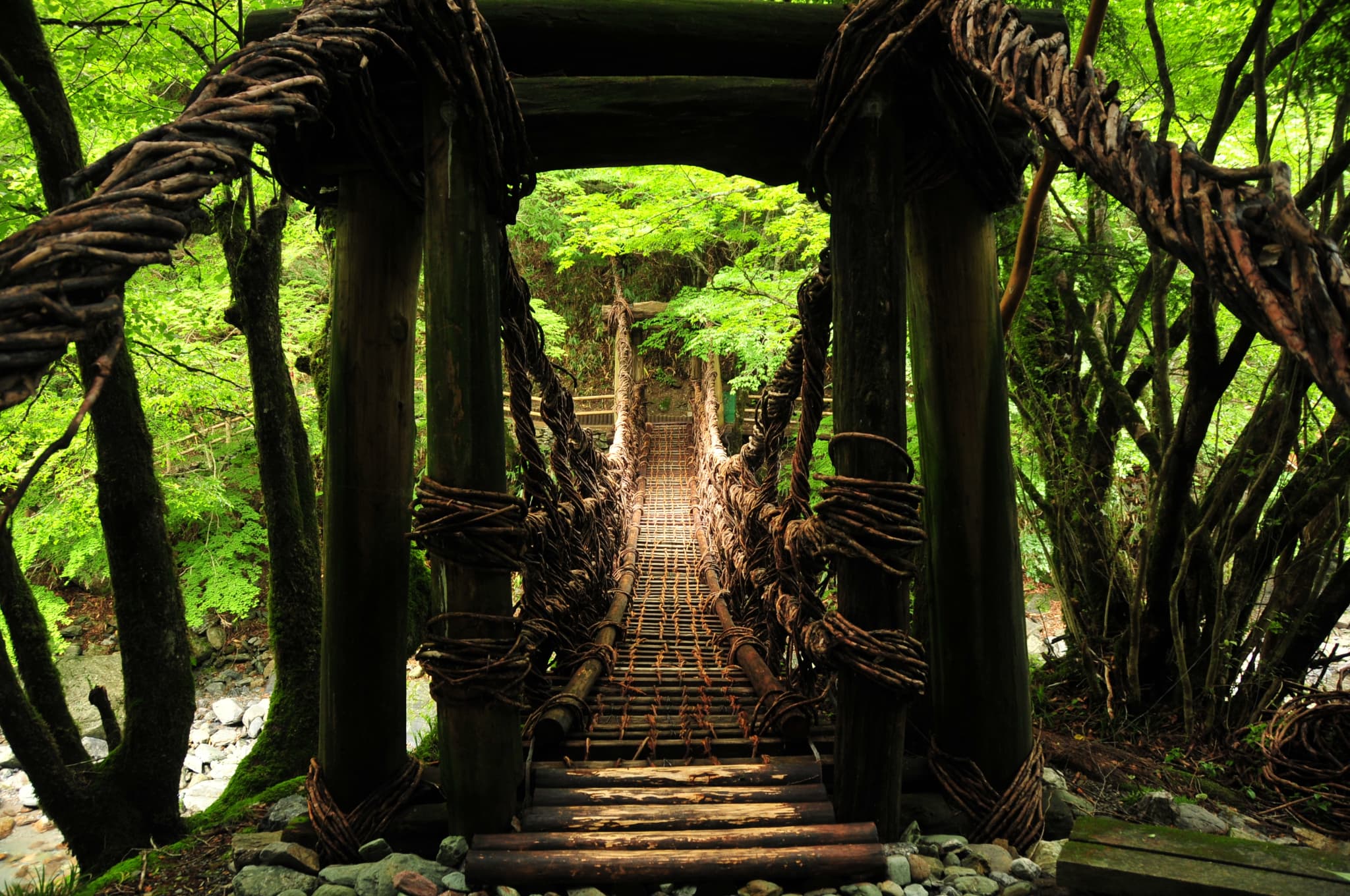 奥祖谷二重かずら橋