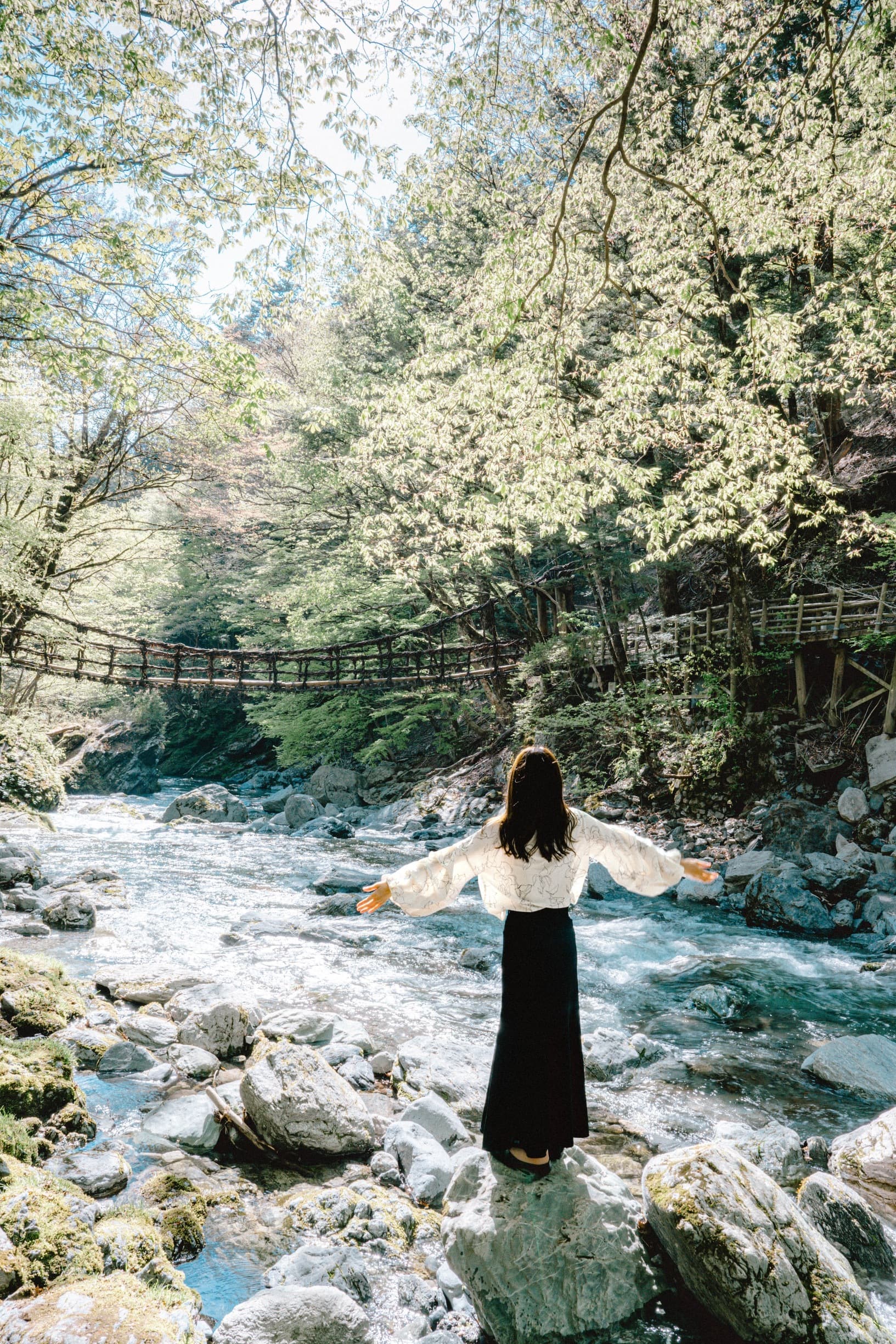 奥祖谷二重かずら橋
