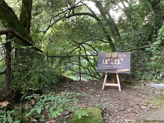 絶景カフェ ぽっぽ