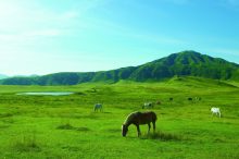一足先に夏気分を満喫するなら南九州へGO♪初夏旅におすすめの宿特集＜9選＞