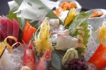 【皆生温泉】限定2000本！幻の地酒「海に降る雪 上代」を訪ねて…美食×温泉旅