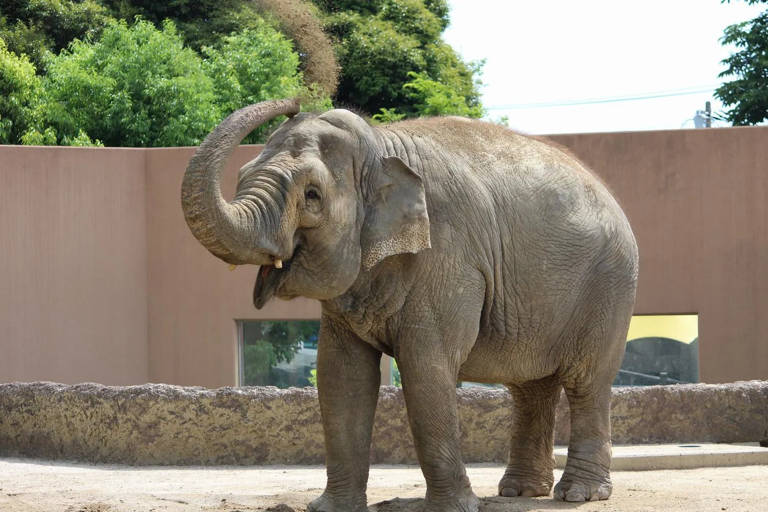 日立市かみね動物園