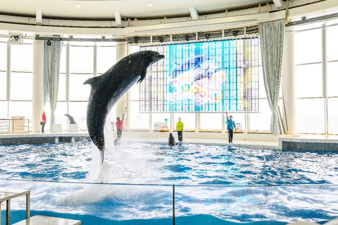 アクアワールド茨城県大洗水族館