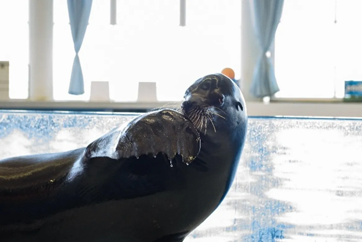 アクアワールド茨城県大洗水族館