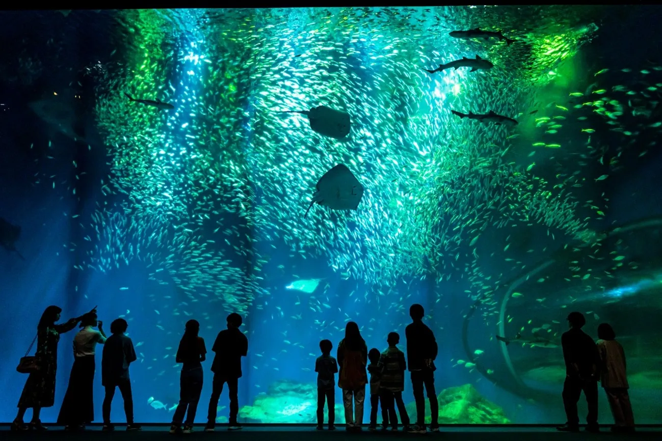 アクアワールド茨城県大洗水族館