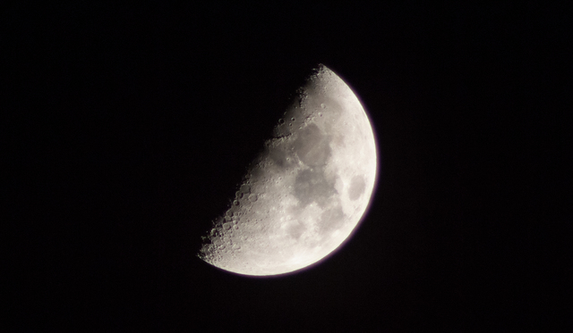 （写真提供：PIXTA）