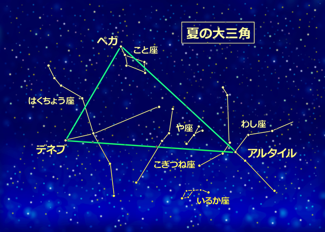 （写真提供：PIXTA）